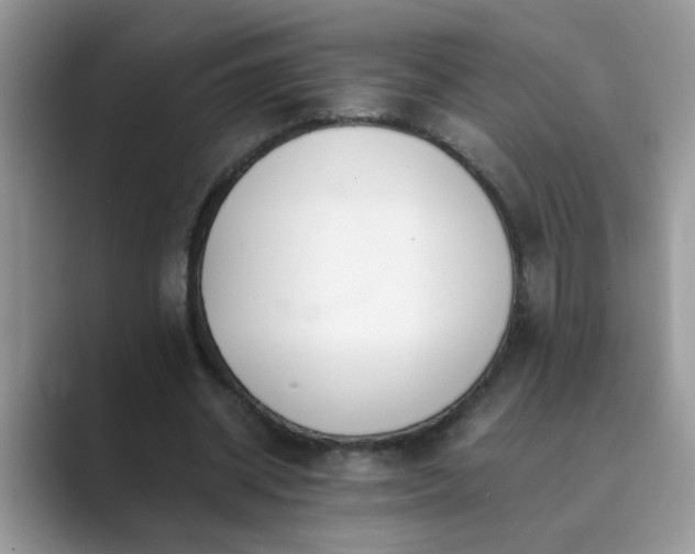X0000089870534200707051153