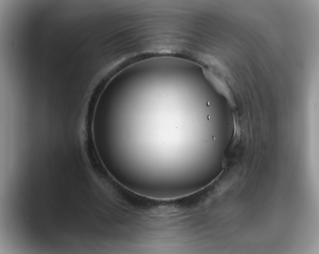 X0000089870536200707051153