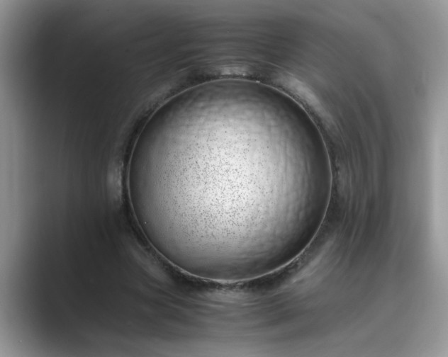 X0000089870537200707051153