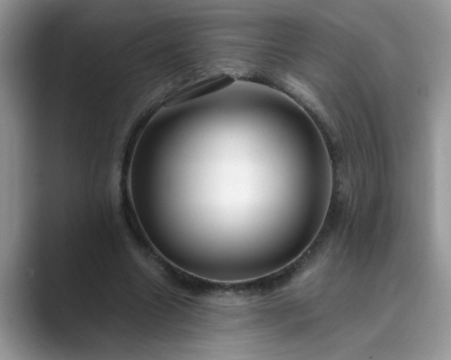 X0000089870538200707051153