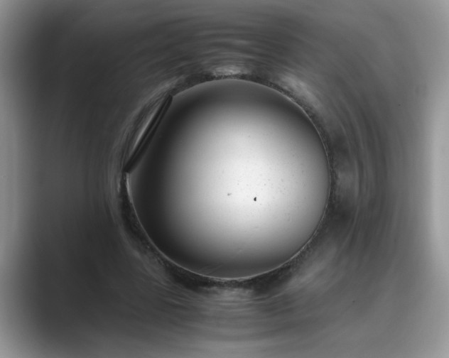 X0000089870539200707051153