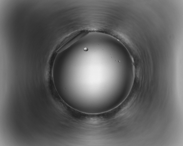X0000089870540200707051153