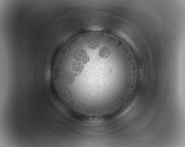 X0000089870541200707051153