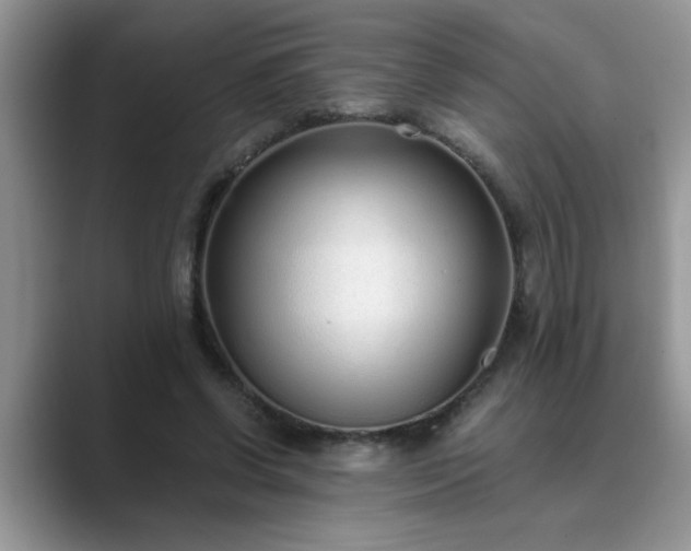 X0000089870542200707051153