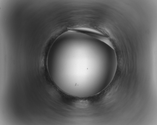 X0000089870543200707051153