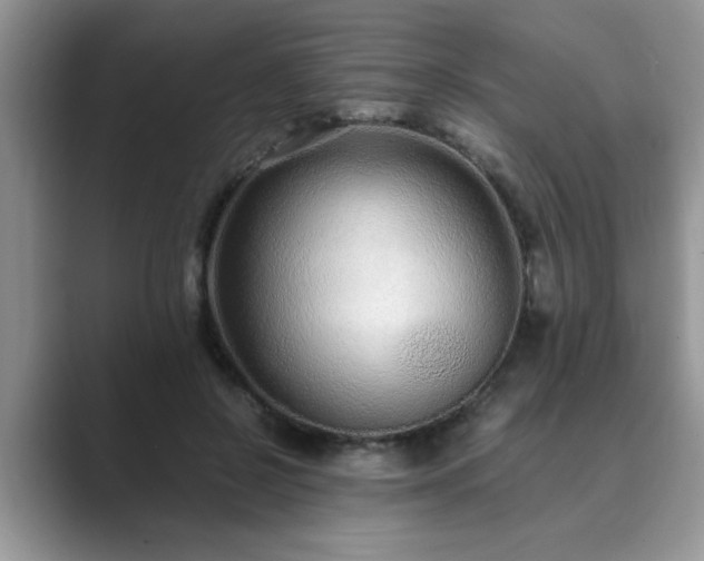 X0000089870550200707051154