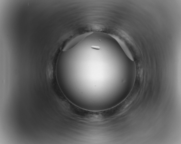 X0000089870552200707051154