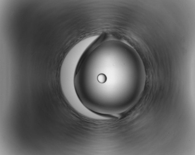 X0000089870558200707051154