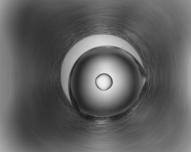 X0000089870560200707051154