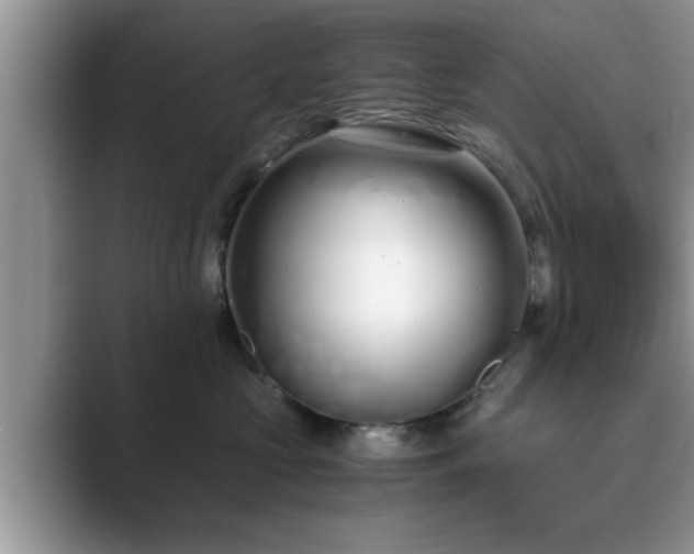 X0000089870573200707051154