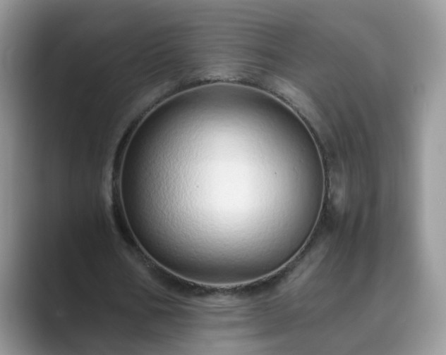 X0000089870578200707051153