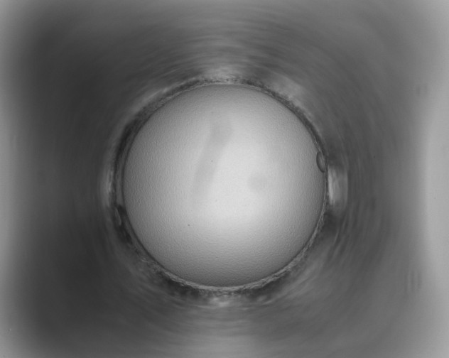 X0000089870579200707051153