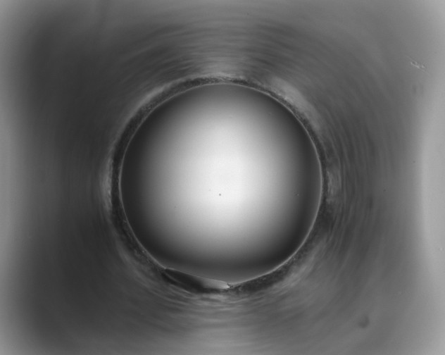X0000089870580200707051153