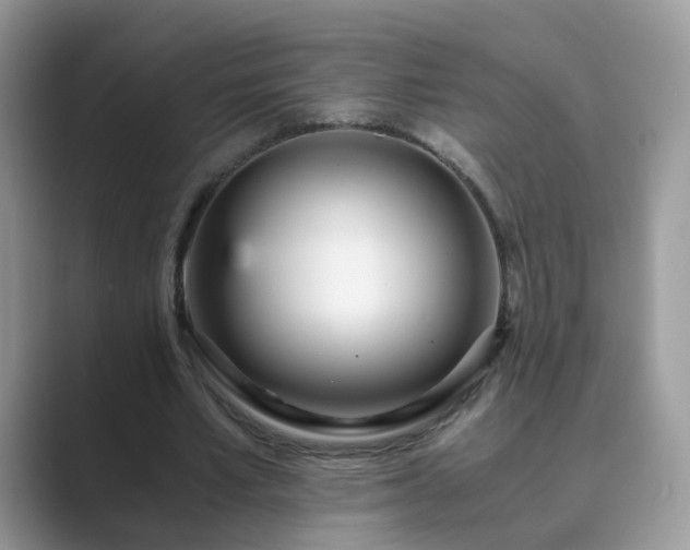 X0000089870581200707051153