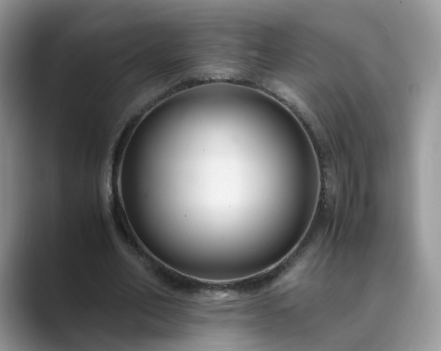 X0000089870582200707051153