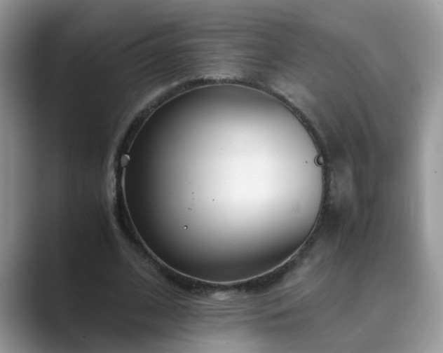 X0000089870584200707051153