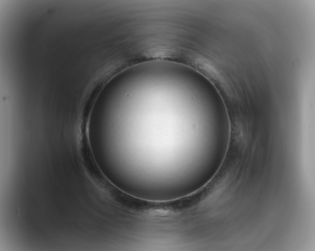 X0000089870586200707051153