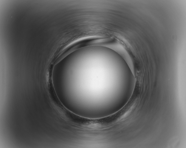 X0000089870589200707051153