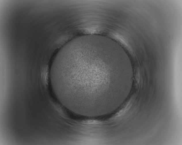 X0000089870590200707051153