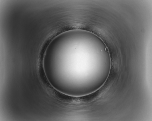 X0000089870591200707051153