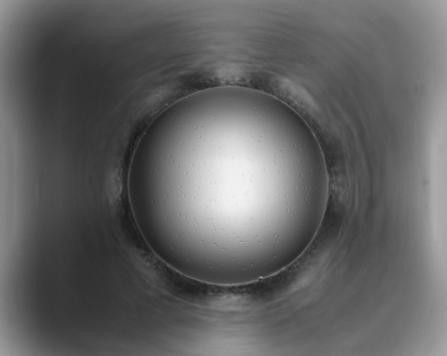 X0000089870593200707051153