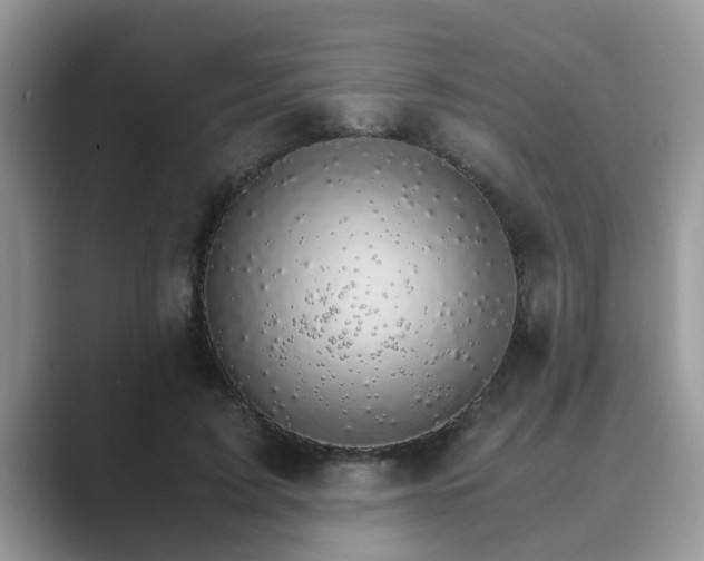 X0000089870595200707051153