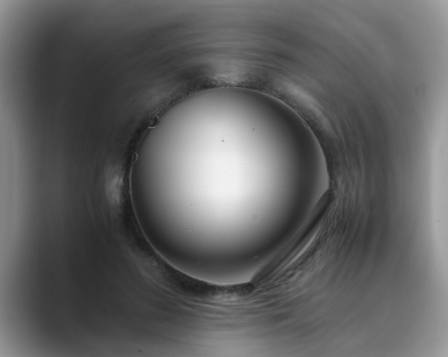 X0000089870596200707051153