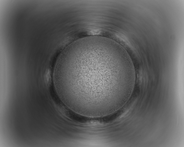 X0000089870598200707051153