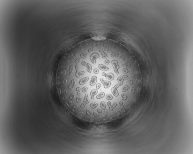 X0000089870599200707051153