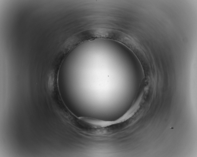 X0000089870600200707051153