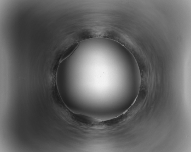 X0000089870601200707051153