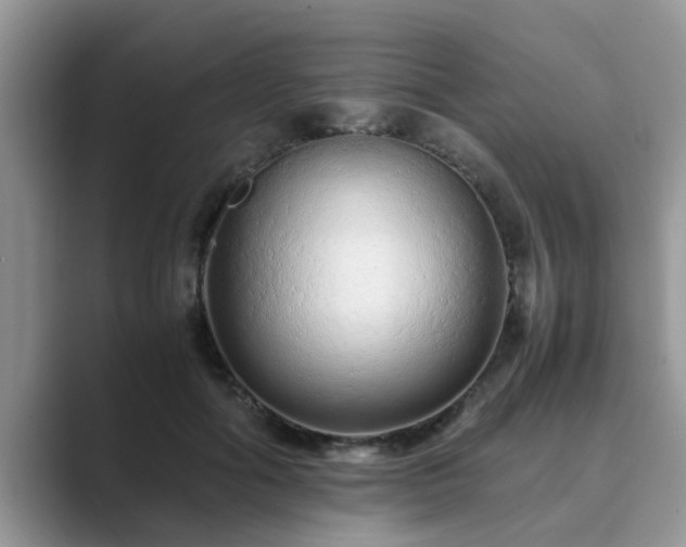 X0000089870602200707051153