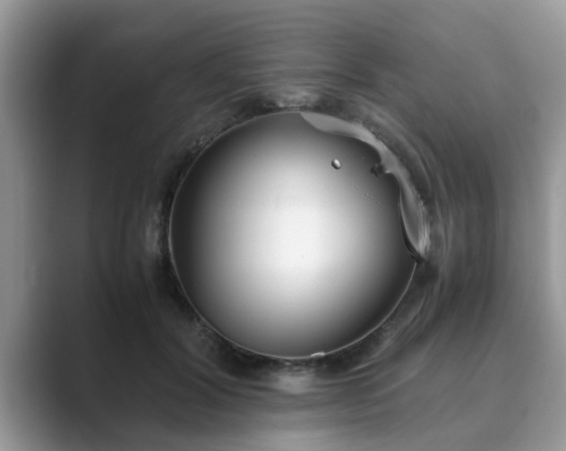 X0000089870604200707051153