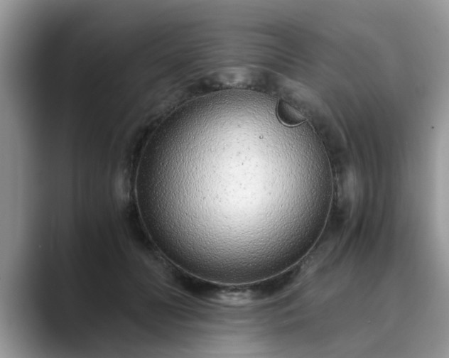X0000089870606200707051153
