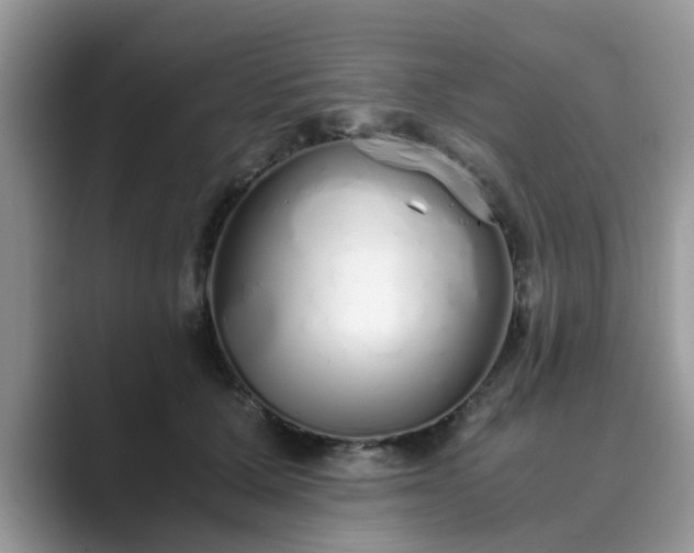 X0000089870607200707051153