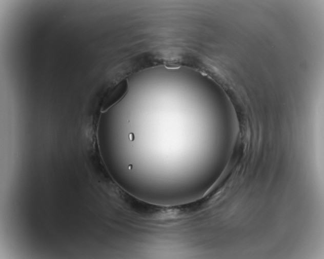 X0000089870609200707051153