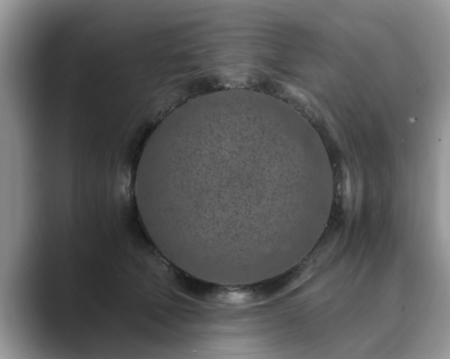 X0000089870610200707051153