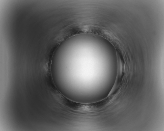 X0000089870611200707051153
