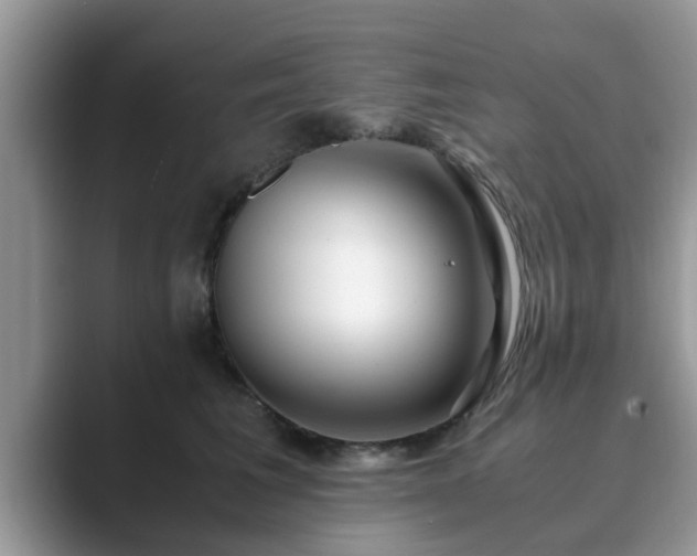 X0000089870613200707051153