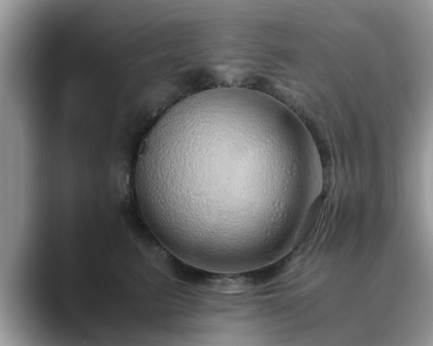 X0000089870615200707051153