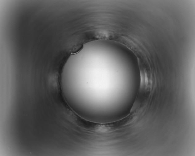 X0000089870616200707051153