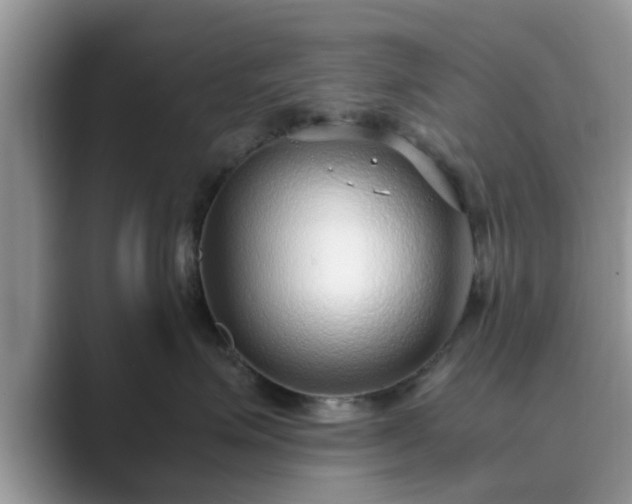 X0000089870623200707051153