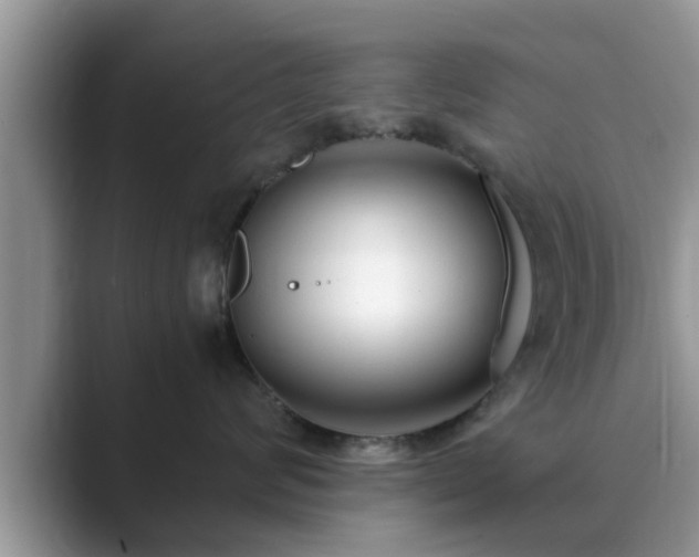 X0000089870624200707051153