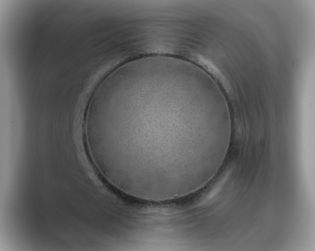 X0000089870625200707051152