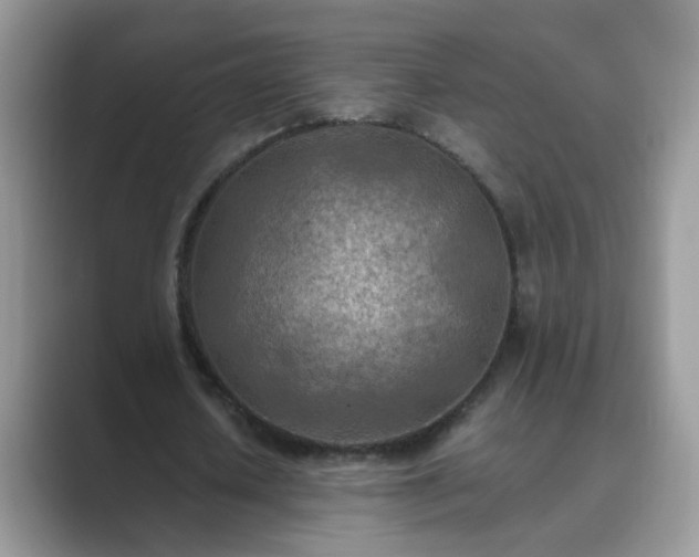 X0000089870626200707051152