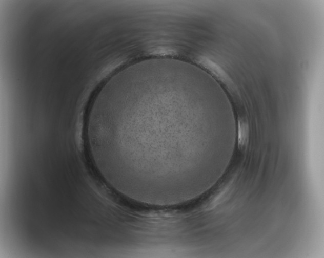 X0000089870627200707051152