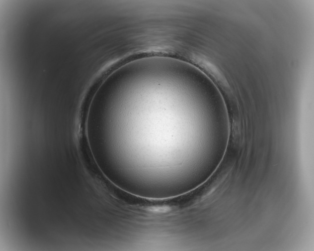 X0000089870628200707051152