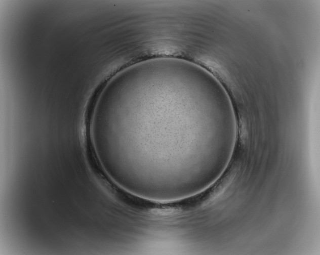 X0000089870630200707051152