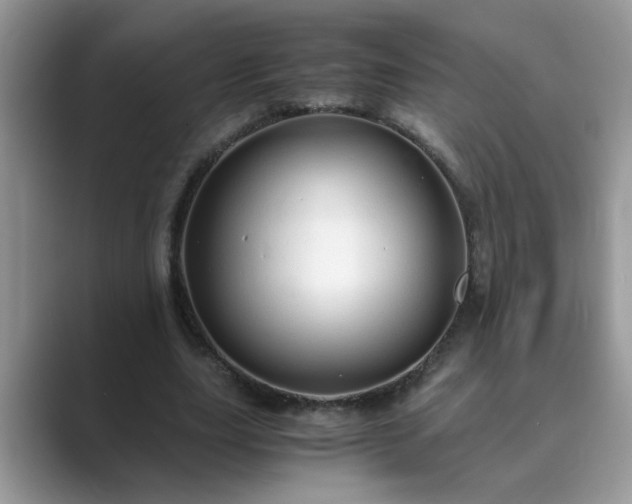 X0000089870631200707051152