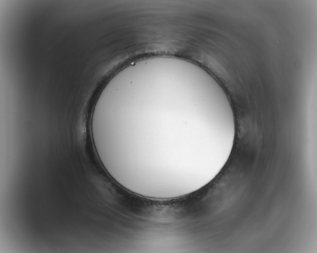 X0000089870632200707051152